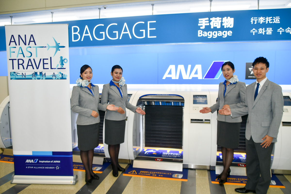 ana baggage